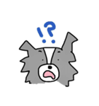 ボーダーコリーちゃんといっしょ！（個別スタンプ：36）