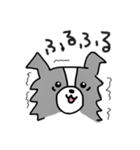 ボーダーコリーちゃんといっしょ！（個別スタンプ：37）