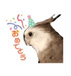 オカメインコのポリくん（個別スタンプ：6）
