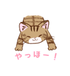 ねこのすずちゃん（個別スタンプ：30）