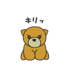 うぃーあーべあーず（個別スタンプ：12）