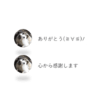 はりねずみの気持ちを伝える2つのふきだし（個別スタンプ：2）