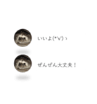 はりねずみの気持ちを伝える2つのふきだし（個別スタンプ：5）
