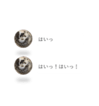 はりねずみの気持ちを伝える2つのふきだし（個別スタンプ：8）