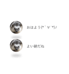 はりねずみの気持ちを伝える2つのふきだし（個別スタンプ：10）