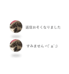はりねずみの気持ちを伝える2つのふきだし（個別スタンプ：12）
