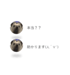 はりねずみの気持ちを伝える2つのふきだし（個別スタンプ：16）