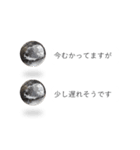 はりねずみの気持ちを伝える2つのふきだし（個別スタンプ：17）