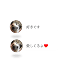はりねずみの気持ちを伝える2つのふきだし（個別スタンプ：18）