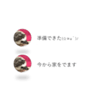 はりねずみの気持ちを伝える2つのふきだし（個別スタンプ：19）