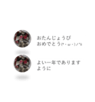 はりねずみの気持ちを伝える2つのふきだし（個別スタンプ：22）