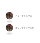 はりねずみの気持ちを伝える2つのふきだし（個別スタンプ：23）