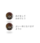 はりねずみの気持ちを伝える2つのふきだし（個別スタンプ：24）