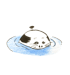 あざらし武士（個別スタンプ：5）