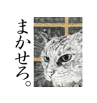 山田猫：令和日本語表現 犬も vol.10（個別スタンプ：16）