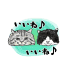 Lucky Star 第一弾（個別スタンプ：4）