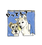 Lucky Star 第一弾（個別スタンプ：14）
