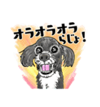 Lucky Star 第一弾（個別スタンプ：16）
