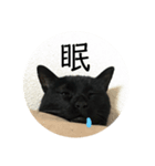 てつくんスタンプ（個別スタンプ：4）