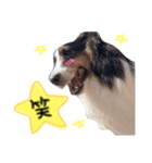 ここちゃぷー❤（個別スタンプ：6）