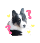 ここちゃぷー❤（個別スタンプ：7）