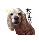 ここちゃぷー❤（個別スタンプ：8）