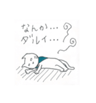 フクマル シャトル 北回り 2便（個別スタンプ：1）