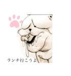 ぶさいく犬（個別スタンプ：4）
