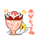 オカメインコの夏スタンプ（個別スタンプ：17）