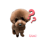 トイプ★チャチャ丸（個別スタンプ：2）