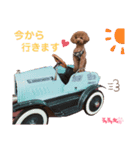 トイプ★チャチャ丸（個別スタンプ：4）