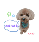 トイプ★チャチャ丸（個別スタンプ：6）