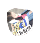 可愛いあいたん（個別スタンプ：8）