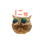 うちの福助さん（個別スタンプ：2）