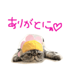 うちの福助さん（個別スタンプ：32）