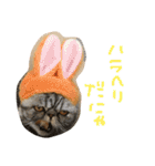 うちの福助さん（個別スタンプ：33）