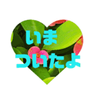 待ち合わせに（個別スタンプ：2）