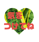 待ち合わせに（個別スタンプ：6）