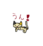 きなこの猫（個別スタンプ：16）