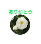 お花スタンプ 2019（個別スタンプ：1）