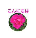 お花スタンプ 2019（個別スタンプ：2）