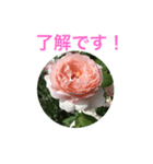 お花スタンプ 2019（個別スタンプ：4）