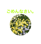お花スタンプ 2019（個別スタンプ：6）