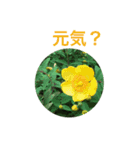 お花スタンプ 2019（個別スタンプ：8）