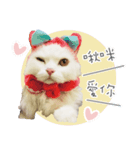 オナラ猫シャオバオ（個別スタンプ：3）