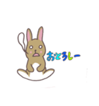 阿波弁うさぎ(茶)（個別スタンプ：12）