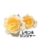 2019年Rose5（個別スタンプ：2）