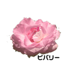 2019年Rose5（個別スタンプ：6）