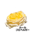 2019年Rose5（個別スタンプ：12）