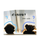 トイプードル＊蒼空(そら)＊6（個別スタンプ：8）
